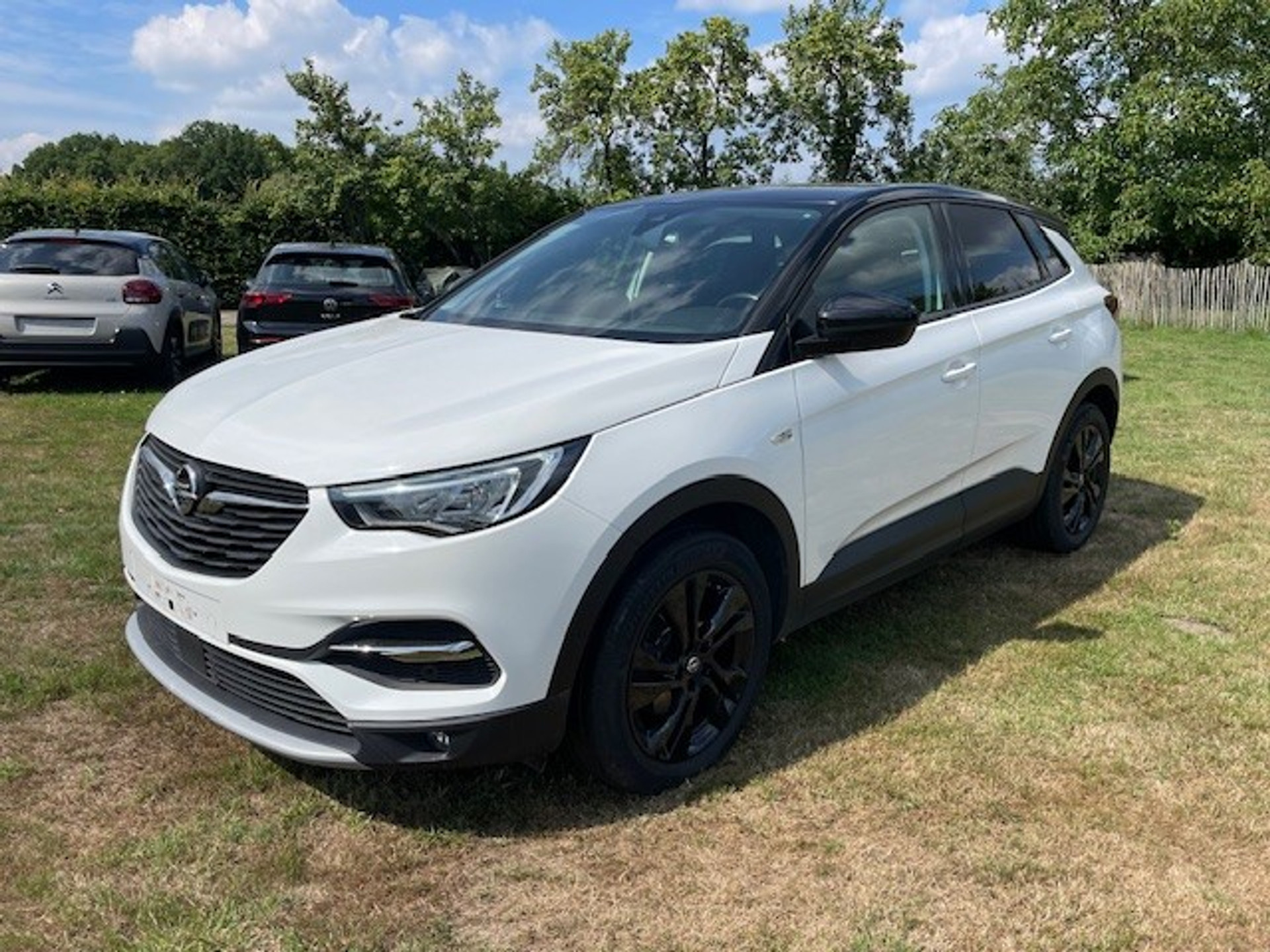 Opel Grandland 1.2 Turbo Elegance 47077294-0.jpg | Dealer Car Trade B.V.